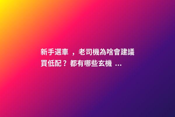 新手選車，老司機為啥會建議買低配？都有哪些玄機？